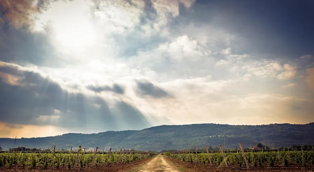Agriturismo Corte Moranda ヴェローナ ファームステイ